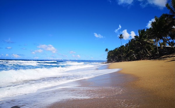SANDY BEACH