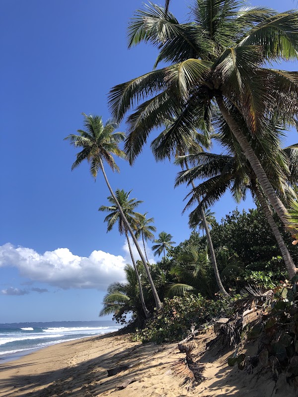SANDY BEACH 5