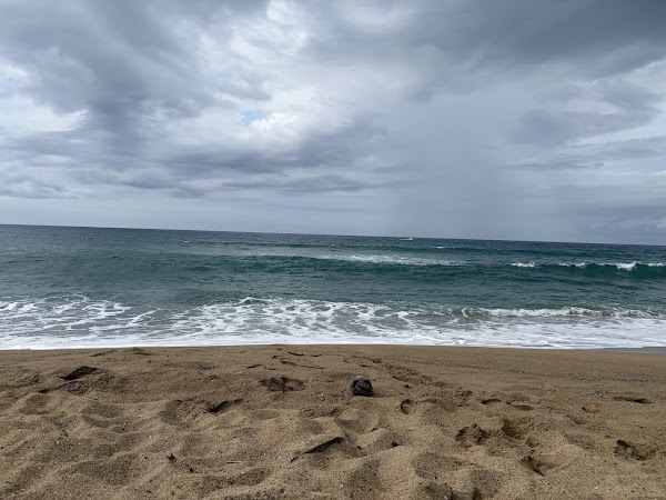 SANDY BEACH 4
