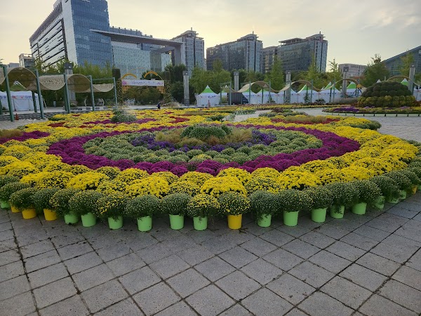 Ilsan Lake Park 4