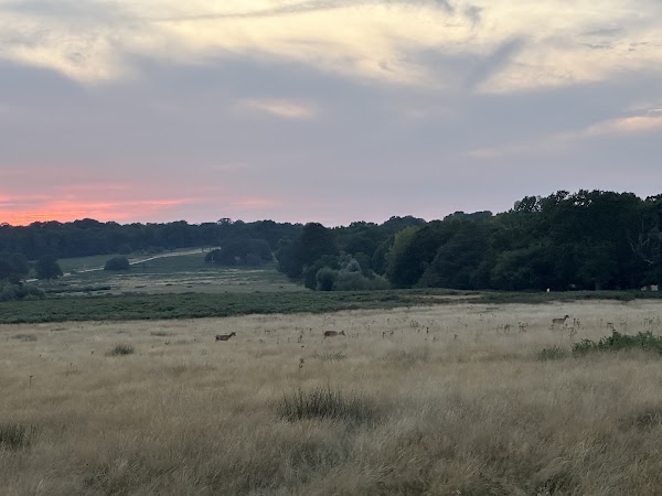 Kingston Gate, Richmond Park