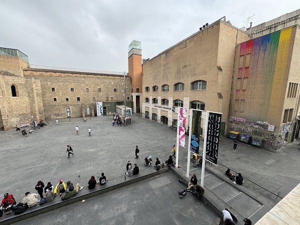 Barcelona Museum of Contemporary Art 4