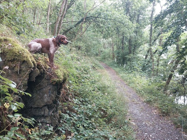 OUR VALLEY hiking trail 4