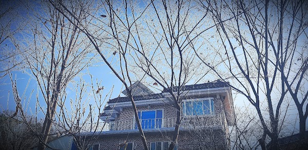 용설호수캠핑장펜션