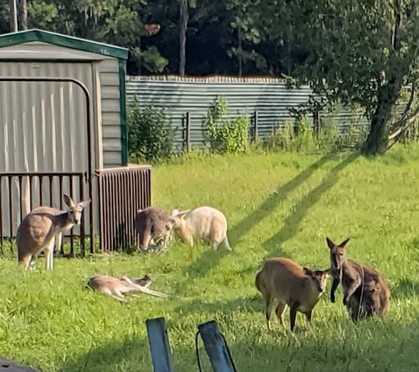 Farmhouse Animal & Nature Sanctuary Inc 1