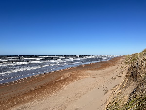 Pei 7