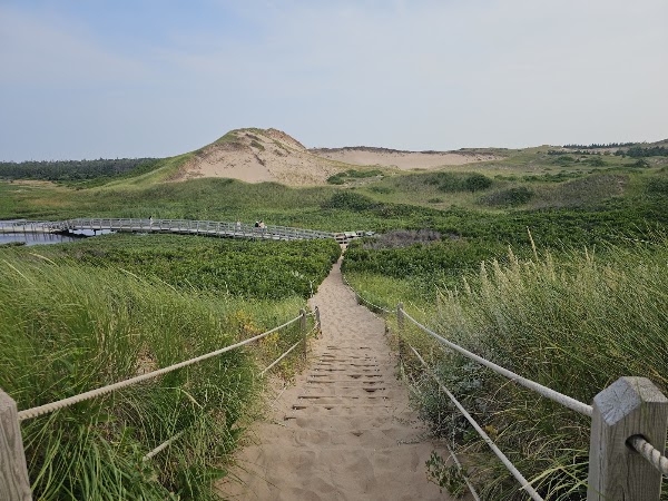 Greenwich Beach 3