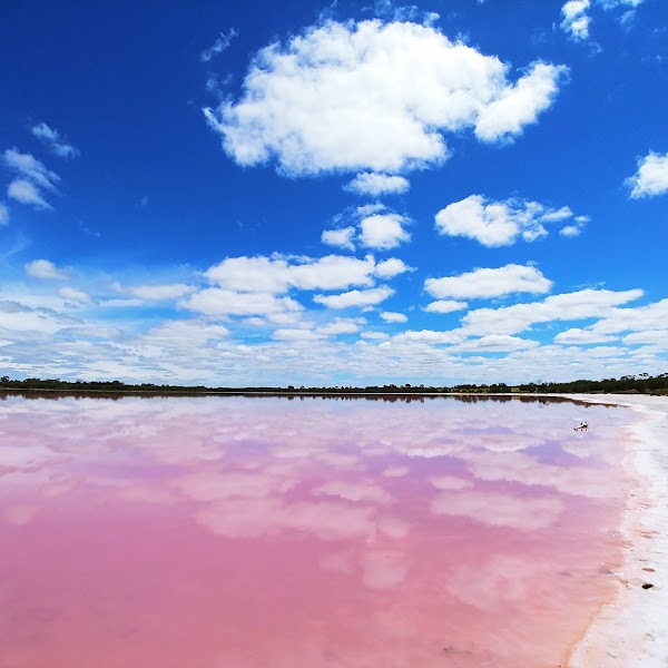 Pink Lake Dimboola