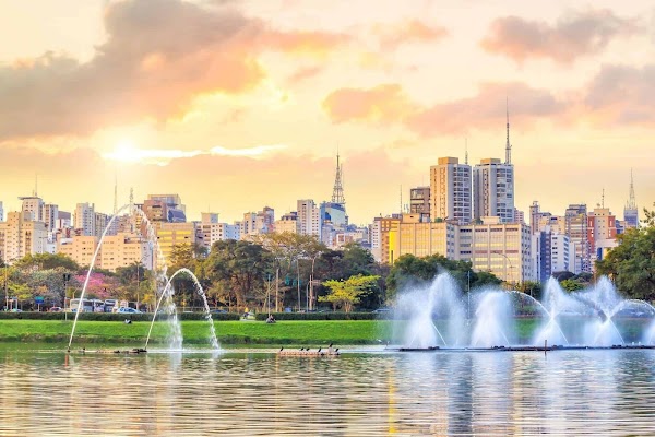 São Paulo 5