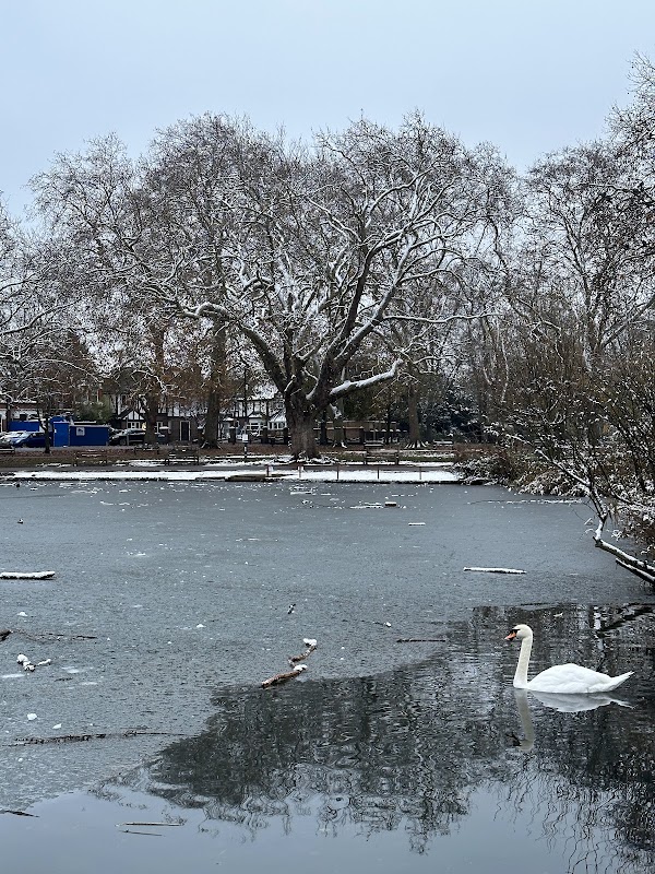 Barnes Pond
