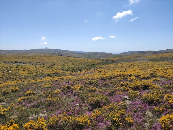 Serra da Freita