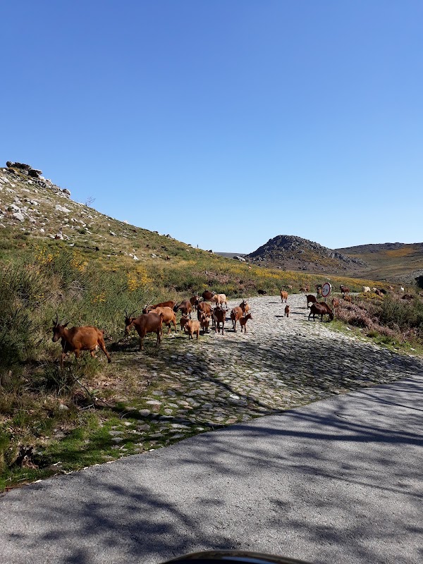 Serra da Freita 2