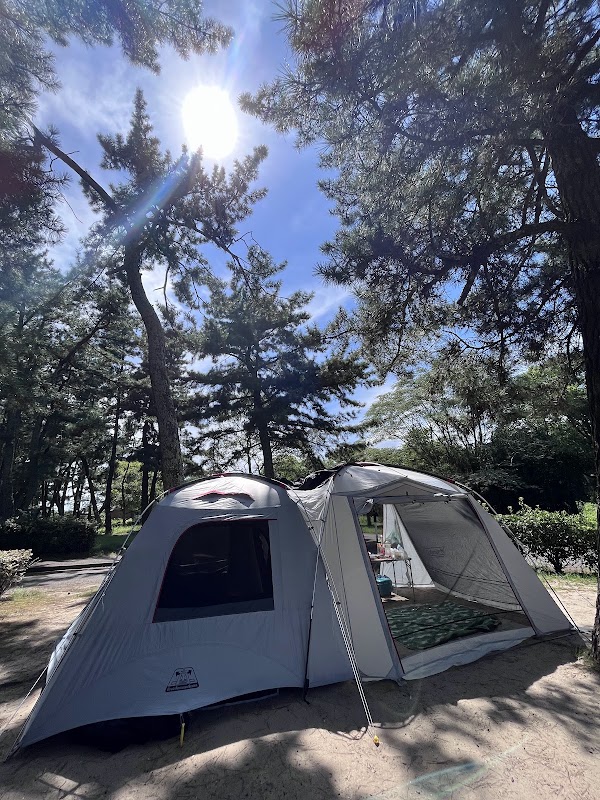 Miami Beach auto campground 3