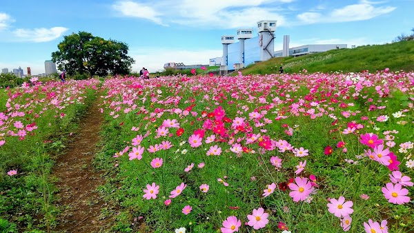 Adachi City Agriculture Park 5