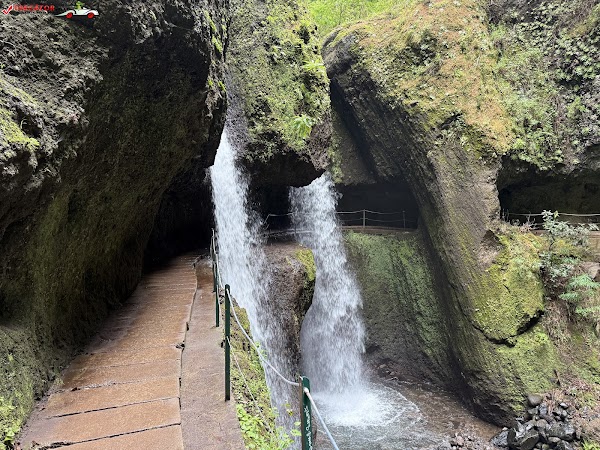 Madeira 19