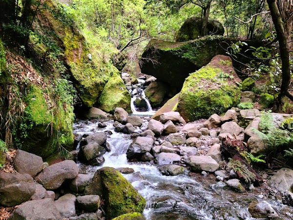 Levada Nova - Ponta do Sol 3