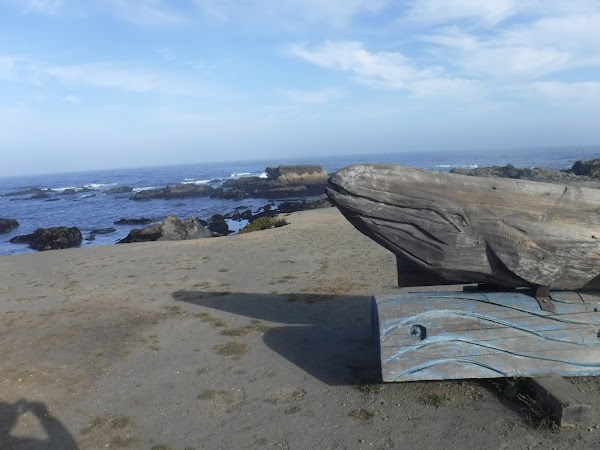 Glass Beach 4
