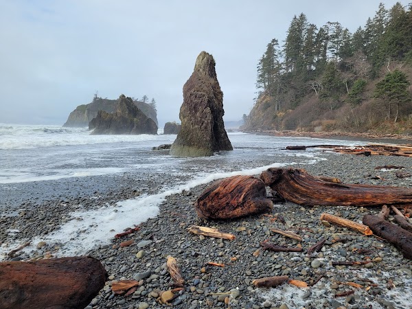 Olympic National Park 5