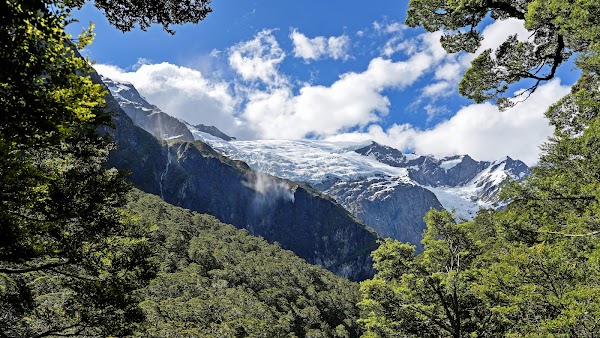 Rob Roy Glacier Track 3