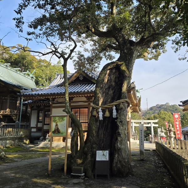 Hachiman Kamado shrine 3
