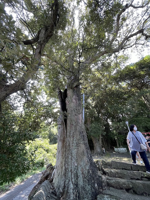 Hachiman Kamado shrine 2