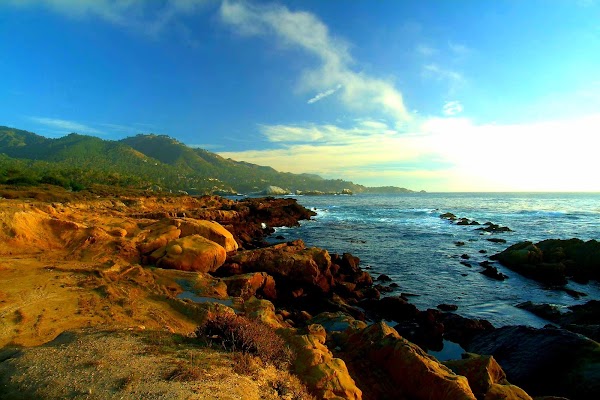 Point Lobos