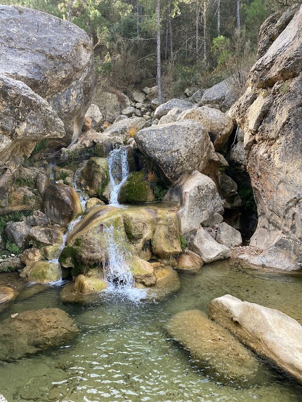 El Parrizal 4