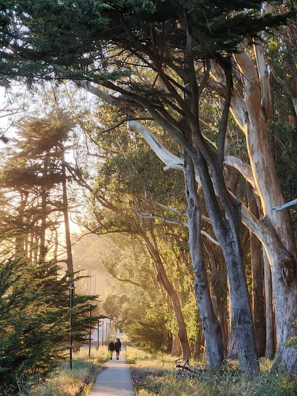 Lover's Lane 5