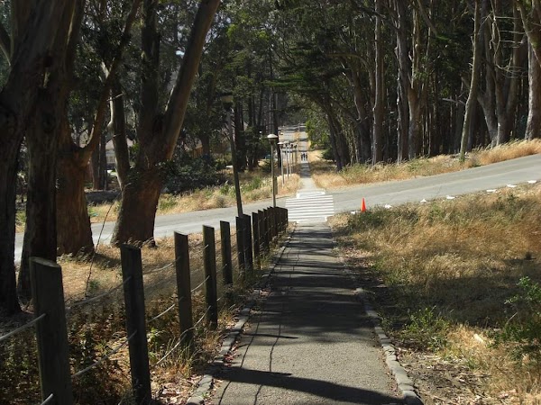 Lover's Lane 4