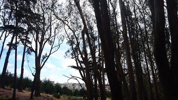 Lover's Lane 2