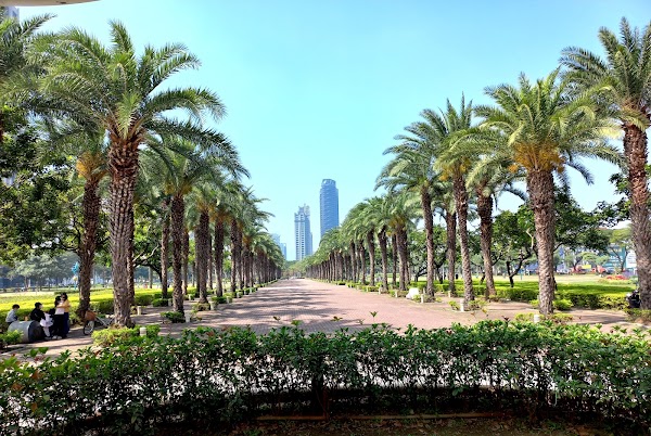 Aozidi Forest Park