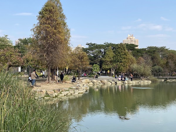 Aozidi Forest Park 4