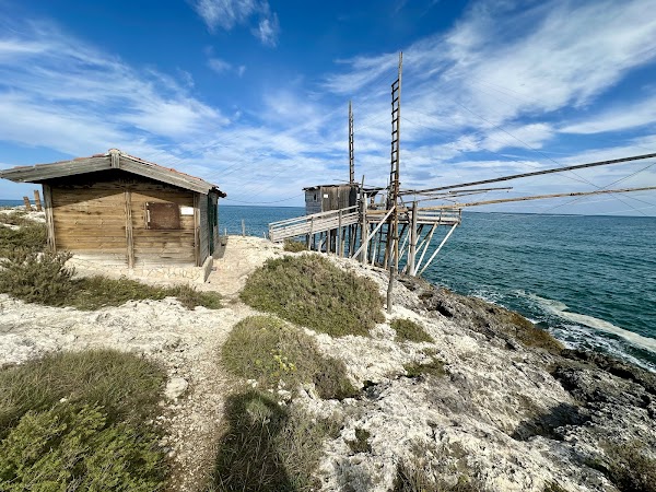 Vieste 3