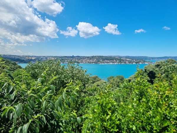 İBB Hidiv Kasrı Korusu 5