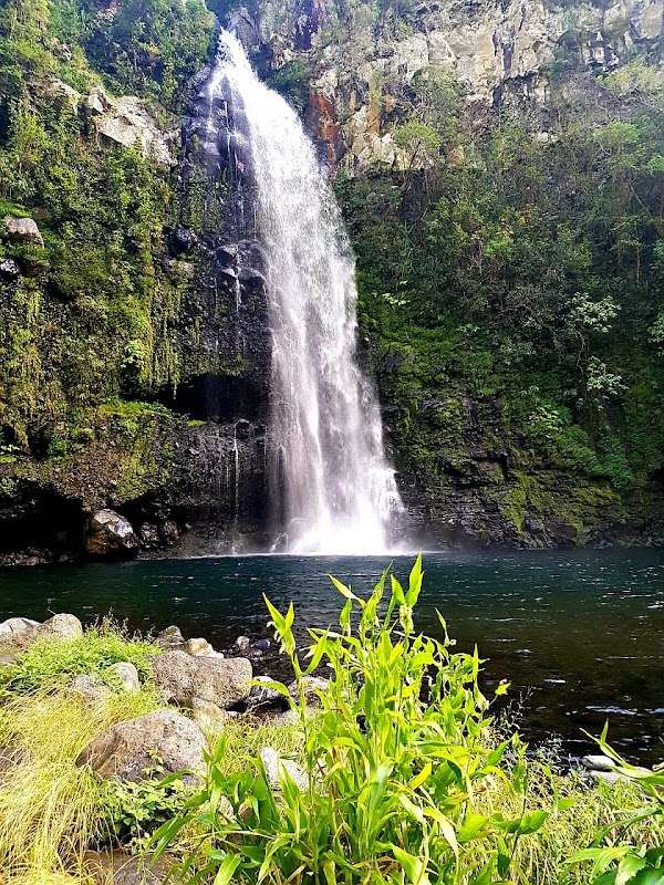Grand Bassin 1
