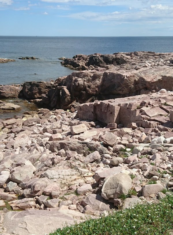 Neils Harbour 5