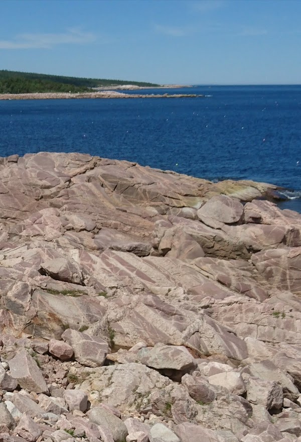 Neils Harbour 3