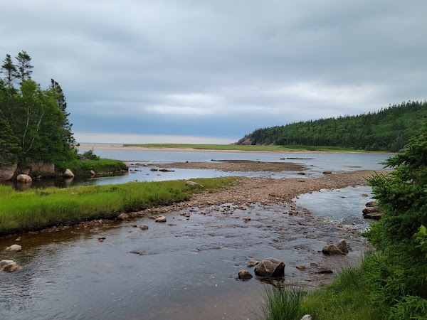 Neils Harbour 2