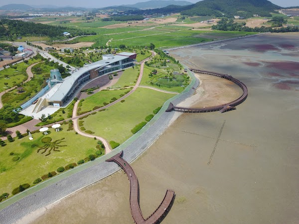 Muan Mudflat Land 5