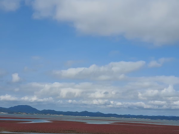 Muan Mudflat Land 2