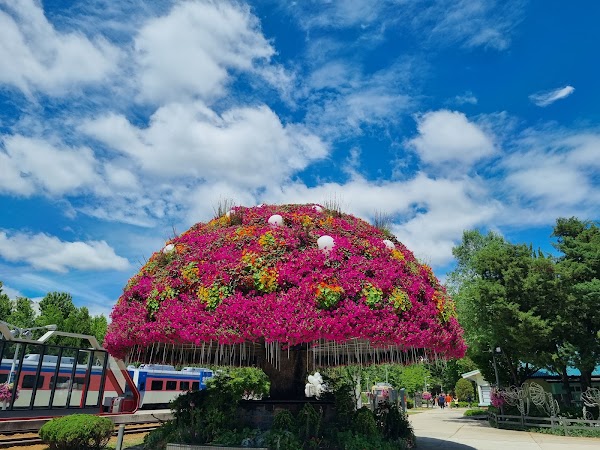 Nowon Light Garden(Gyeongchun Line Hwarangdae Station) 4