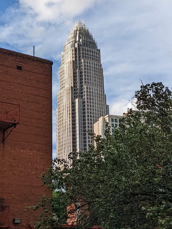 Charlotte 6