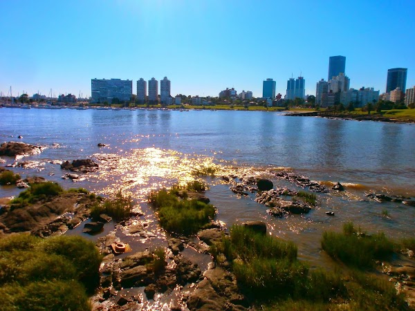 Montevideo 4
