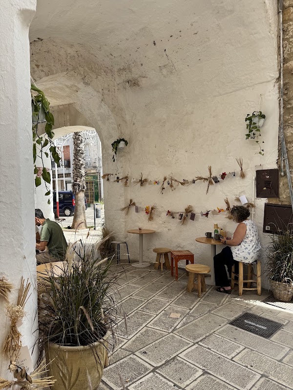 Avena slowplace 1