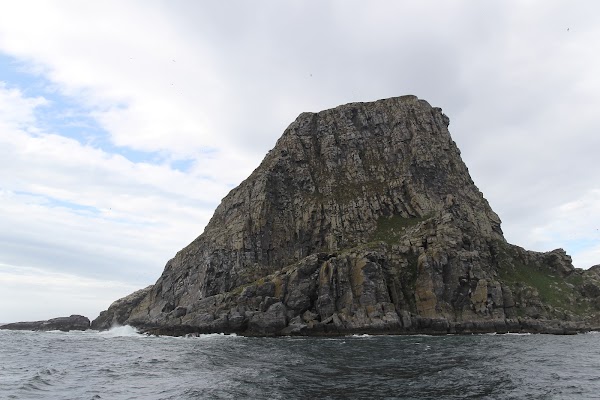 Gjesværstappan 5