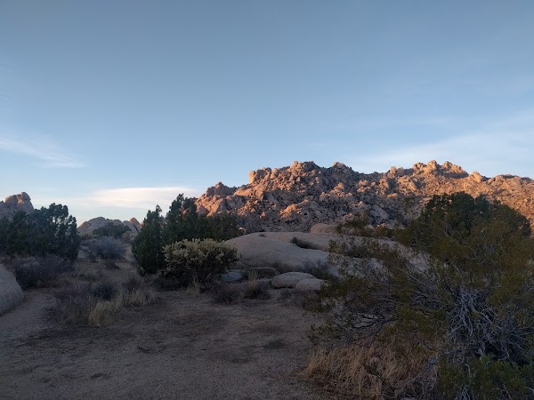 Mojave National Preserve 5