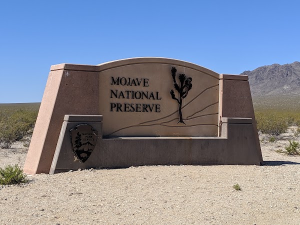 Mojave National Preserve 4
