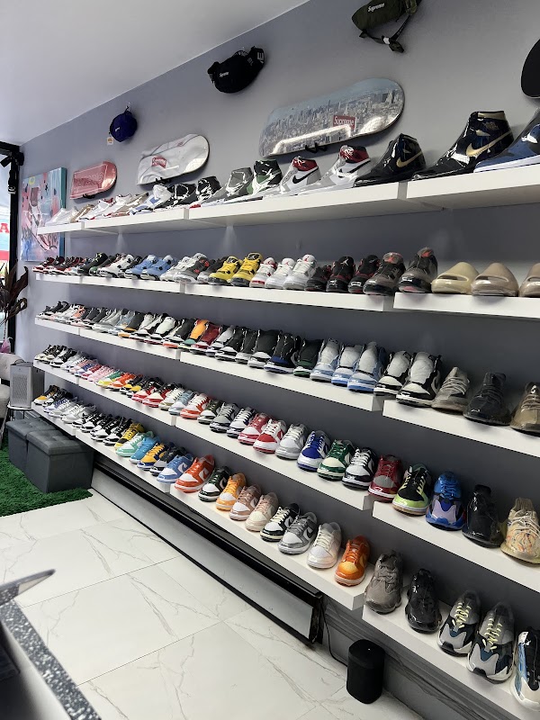 Vaulted Laces Sneakers Store 5