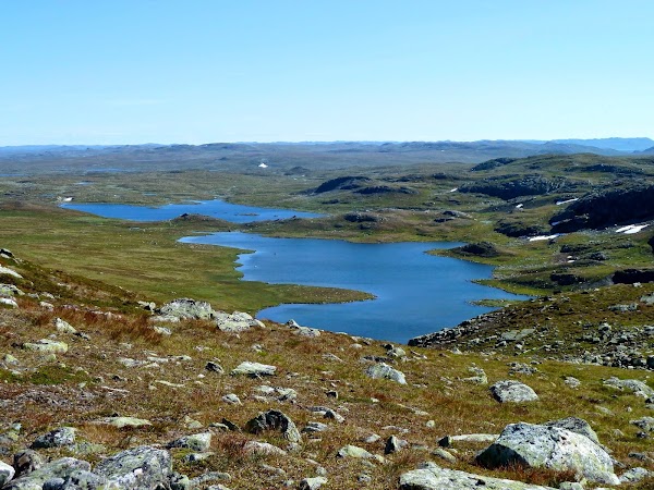 Hardangervidda National Park