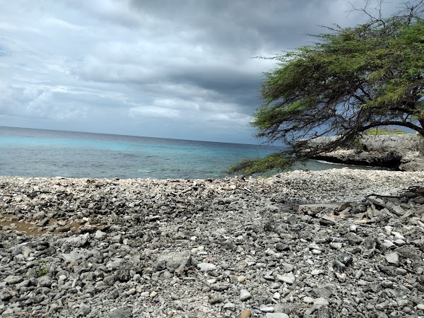 Playa Funchi 4